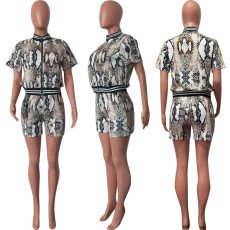 Snake Print Threaded Cardigan + Shorts Set HMS-5589