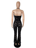Solid Color Lace Backless Halterneck Jumpsuit SHD-9734