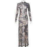 Mesh Print See Through Long Sleeve Maxi Dress DLSF-K23D33779