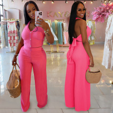 Halterneck Backless Tie Up Two Piece Pants Set BY-7461