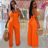 Halterneck Backless Tie Up Two Piece Pants Set BY-7461