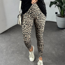 Leopard Print Slim Pants GNZD-51575PBD