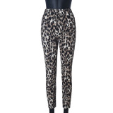 Leopard Print Slim Pants GNZD-51575PBD