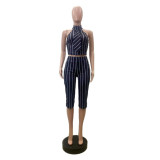 Stripe Sleeveless Lapel Two Piece Set GSMJ-6063