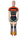 See Through Mesh Print Two Piece Pants Set SHD-9553