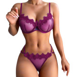 Sheer Mesh Lace Lingerie Set GJZY-2312