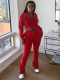 Fleece Hooded Sweatshirt Wide-Leg Pants Suit CH-25057