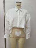 Lantern  Long Sleeve Irregular Shirt LSD-2537