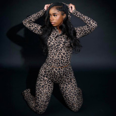 Leopard Print Hooded Sport Two Piece Pants Set DLSF-K25S82117