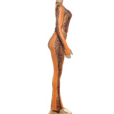Long Sleeve Snake Print Two Piece Pants Set XEF-K25S84264