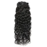 Human Hair Clip-On Hair Extensions 8-Piece Set JKLS-80245