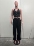 V Neck Sleeveless Vest Pants Suit SHMF-6183