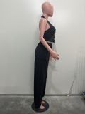 V Neck Sleeveless Vest Pants Suit SHMF-6183