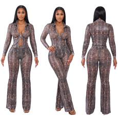 Mesh Zipper Top Flare Pants Two Piece Set GSBD-D25ST445