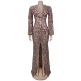 Deep V Neck Leopard Print Maxi Dress BY-7571