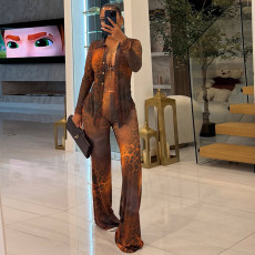 Print Mesh Long Sleeve Tops Flare Pants 2 Piece Set GXHF-M80819
