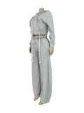 Casual Solid Color Hooded Wide Leg Pants 2 Piece Set CH-25072