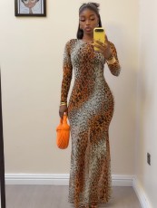 Leopard Print Long Sleeve Maxi Dress GXHF-81027