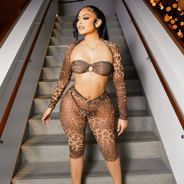 Leopard Mesh Print Long Sleeve Two Piece Pants Set GDSF-D24ST567