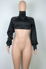 Long Sleeve High Collar Crop Top GWLS-LD201078