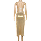 Halterneck V Neck Butterfly Maxi Dress GYME-K25D89288