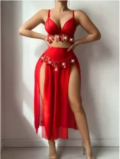 Exotic Belly Dance Costume Lingerie Set YQ-W902