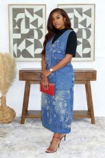 Embroidered Jacquard Denim Midi Dress GYLN-9270