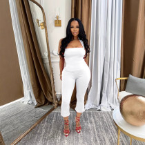 Backless Tie Up Halterneck Tank Tops Pants Suit GTYZ-7542