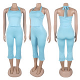 Backless Tie Up Halterneck Tank Tops Pants Suit GTYZ-7542