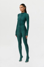 Snake Print Long Sleeve Tight Jumpsuit SHD-9954