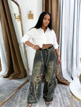 Plus Size Casual Holes Straight Jeans GYLN-1534