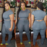 Plus Size Short Sleeve Solid Color Two Piece Pants Set OSIF-20735