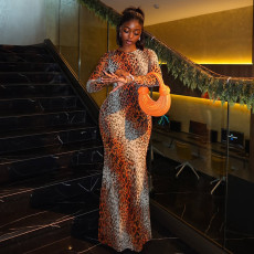 Leopard Print Long Sleeve Maxi Dress GJYO-303896