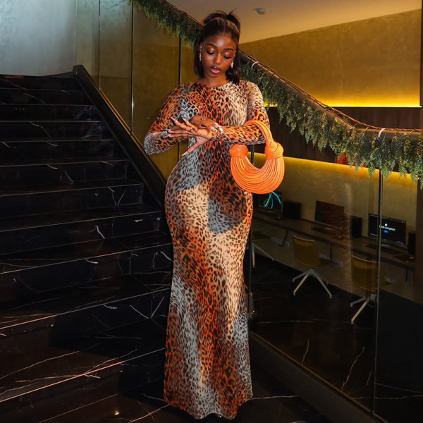 Leopard Print Long Sleeve Maxi Dress GJYO-303896