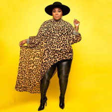 Plus Size Print Irregular Long Sleeve Long Dress NNWF-7084