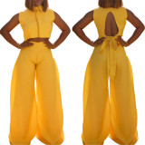 Solid Color Sleeveless Backless Tops Two Piece Pants Set OLYF-1971