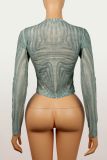 Mesh Long Sleeve Solid Color Tops YWXS-K25L1463