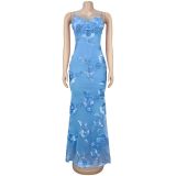Sexy Sling Backless Mesh Maxi Dress BY-7672