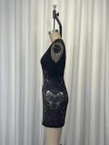 Lace Mesh Patchwork Print Mini Dress GWDS-260306