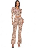 VIP1 Long Sleevel Print Hooded Flare Pants 2 Piece Set GXZY-Xy2507