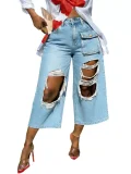 Retro Gradient Holes Wide-leg Seventh Pants LSD-2834