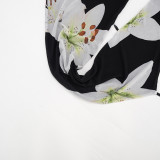 Print Backless Tie Up Mesh Two Piece Skirts Set GSZM-D26ST166