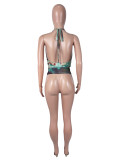 Halterneck Tie Up Mesh Tank Top SHD-9985