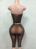 Pre Order: About 7 work days shipping Sexy See Through Two Piece Set YUEM-202638