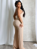 Backless V Neck Halterneck 2 Piece Pants Set YWXS-L45650