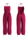 Solid Color Halterneck Backless Loose Jumpsuit HNIF-ZM026