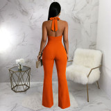 Sexy Halterneck Backless Jumpsuit YF-11069