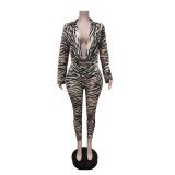 Zebra Stripes Long Sleeve Two Piece Pants Set MEM-88709
