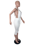 Solid Color Halterneck Backless Seventh Jumpsuit SHD-8504