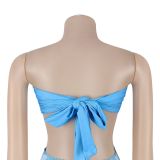 Solid Color Tassel Tube Top Dress BY-7741